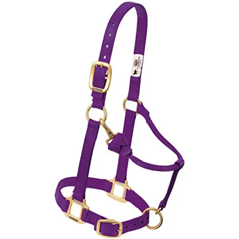 WEAVER LEATHER 3/4" WEANLING ADJUSTABLE CHIN & THROAT HALTER - PURPLE -